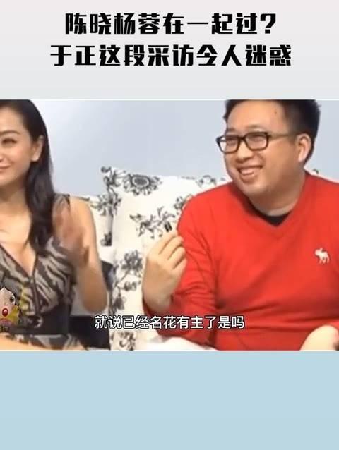 陈晓和杨蓉曾在一起过?于正这段采访透露了太多信息