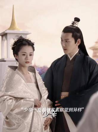 所有见过素素的人竟都未认出她就是白浅,唯有少辛一眼便识破了素素的