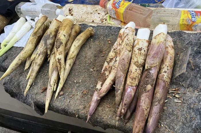 左边是鞭笋，右边是春笋