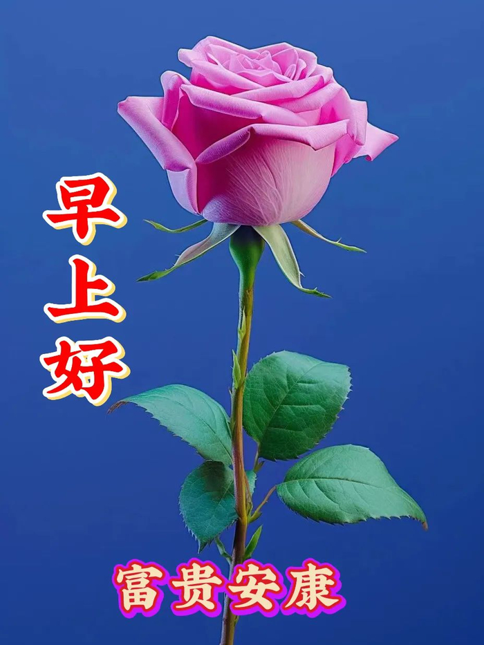 2024年10月5日最新早上好祝福语图片大全 今日精选早安问候祝福图片带