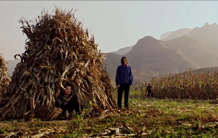 〓 《朝颜》剧照