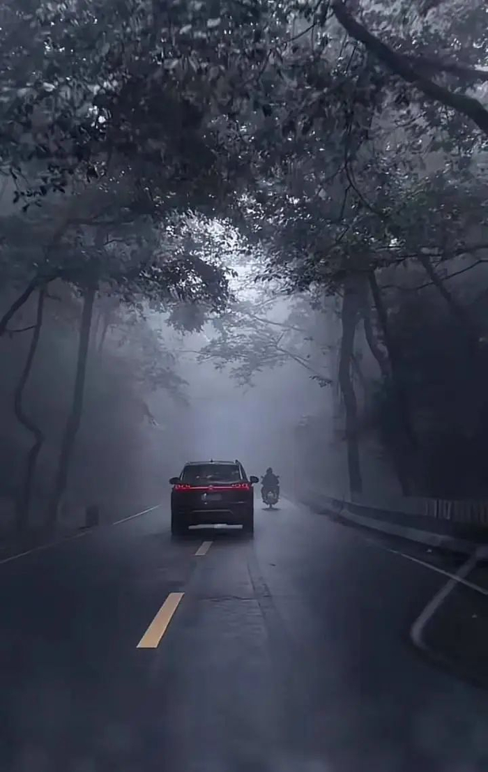 @云南哀牢山仙境