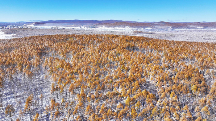 内蒙古根河：“中国冷极”国庆假期迎来文旅热潮-国庆期间内蒙古什么气温