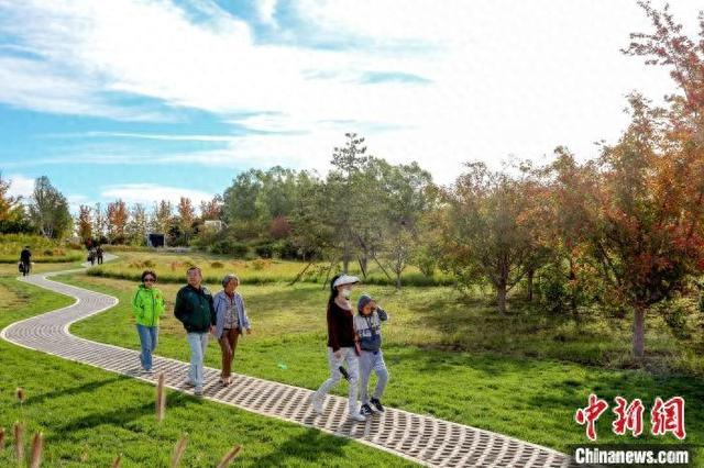 北京温榆河公园。北京市园林绿化局供图