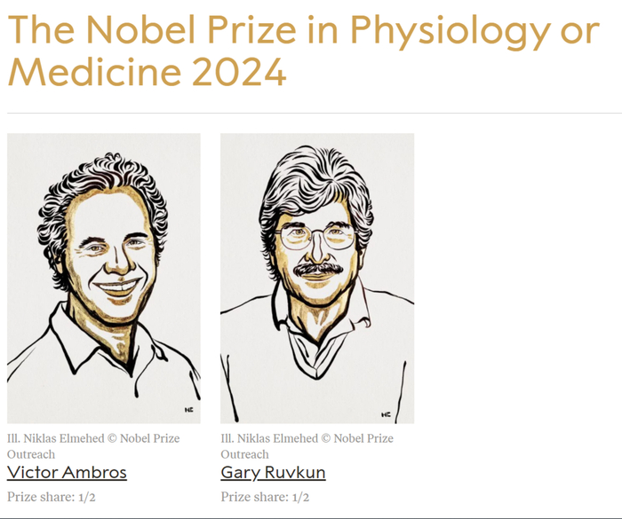 2024年诺贝尔奖“开奖周”启幕，中国作家残雪成诺贝尔文学奖赔率榜前五唯一非英语写作者诺贝尔文学奖残雪诺贝尔奖_新浪新闻