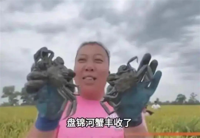 ▲图为此前引发质疑的盘锦螃蟹丰收视频截图