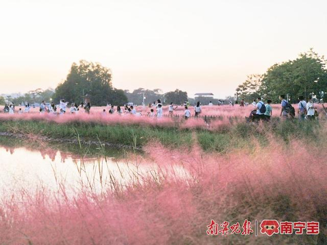 南宁园博园网红景点受游客欢迎。 记者 赵金玲 摄