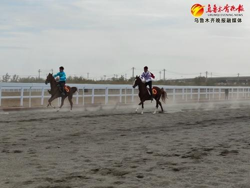 　　选手正在赛场驰骋。记者唐红梅摄