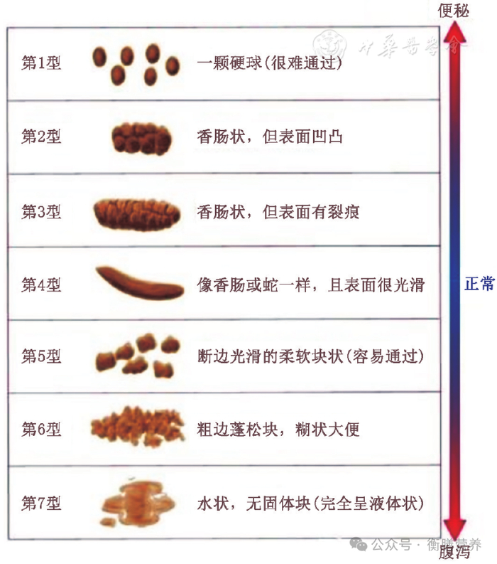 调理慢性疾病必备参考资料(第七辑):慢性便秘,慢性腹泻和肠易激综合征