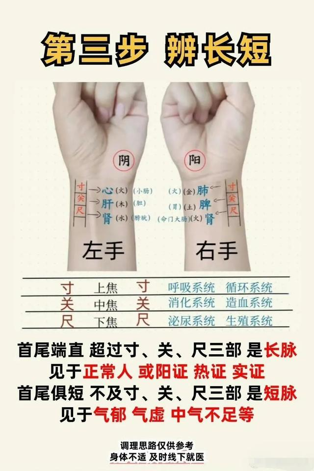 探索中医智慧:掌握把脉六步骤,迈向半个中医之旅|体质|脉象|虚实|浮沉|中华文明_新浪新闻