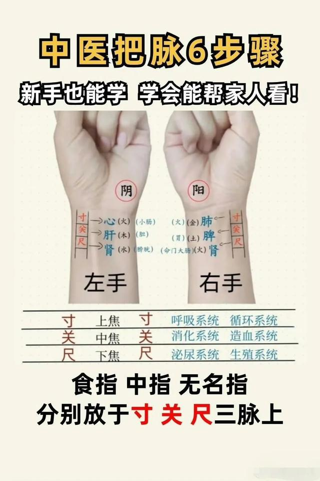 探索中医智慧:掌握把脉六步骤,迈向半个中医之旅|体质|脉象|虚实|浮沉|中华文明_新浪新闻
