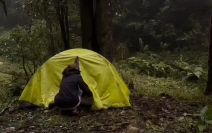 博主“苗疆陈朵朵”在哀牢山保护区扎帐篷。  图源：“苗疆陈朵朵”社交平台视频截图