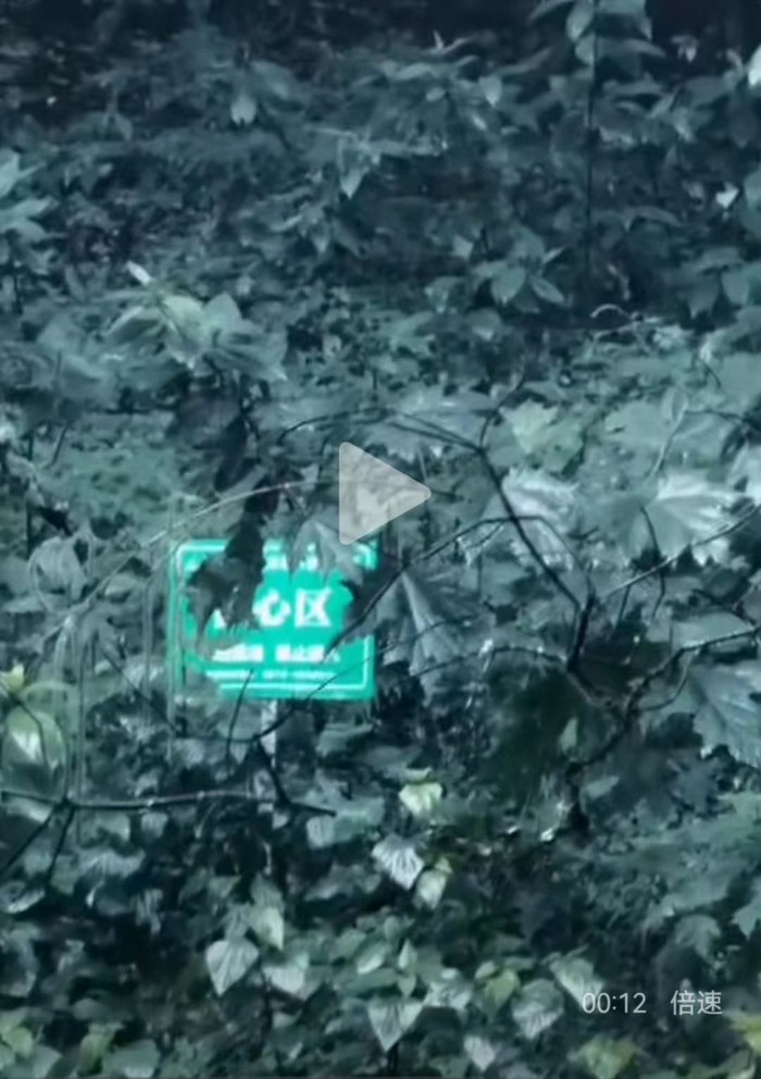视频中疑似出现“核心区”标识牌。  图源：“苗疆陈朵朵”社交平台视频截图