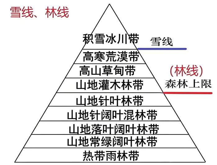 垂直植被类型分布图图片