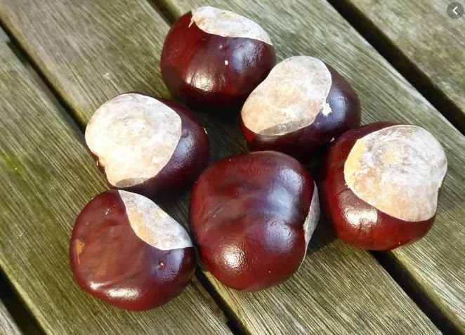 图源：新民晚报