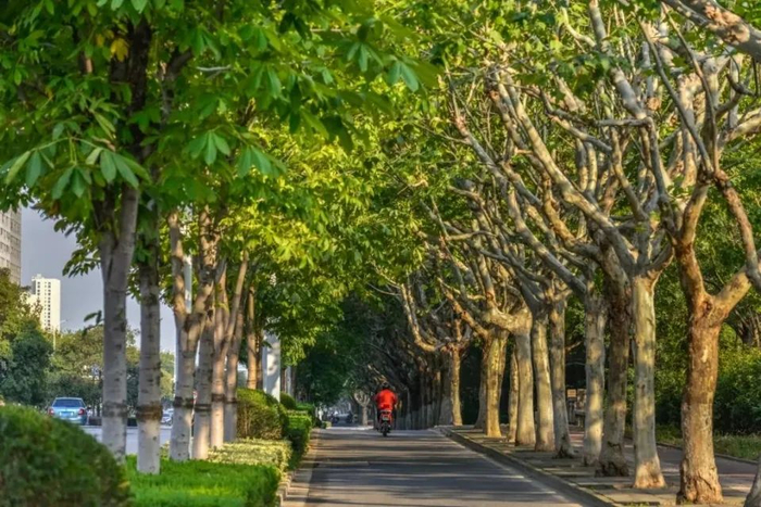 图源：苏州园林官微