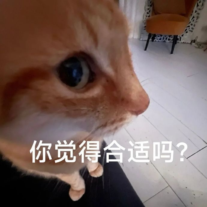 又到了存表情包的快乐时间 for you 小饭盆空空