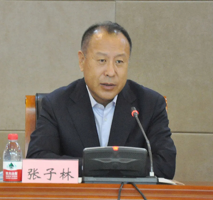 张子林（资料图）