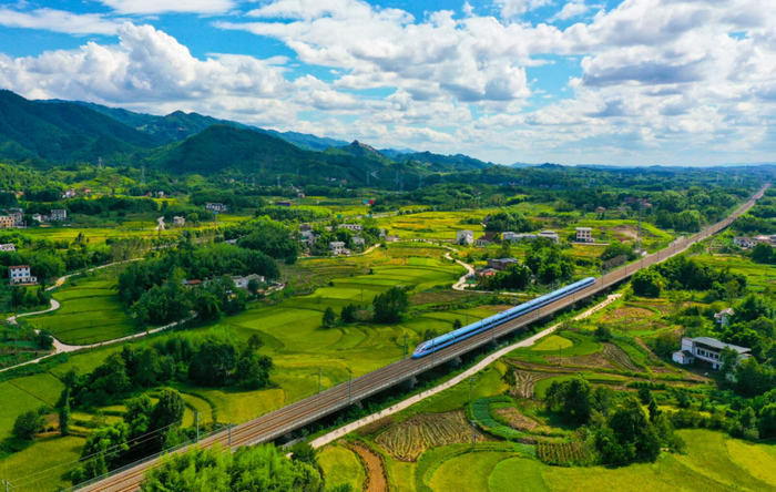渝万高铁从梁平区金色的稻田间穿行而过。熊伟 摄