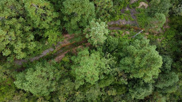 大源村新桥反击战的红军战壕。 澎湃新闻记者 陈鑫露 图