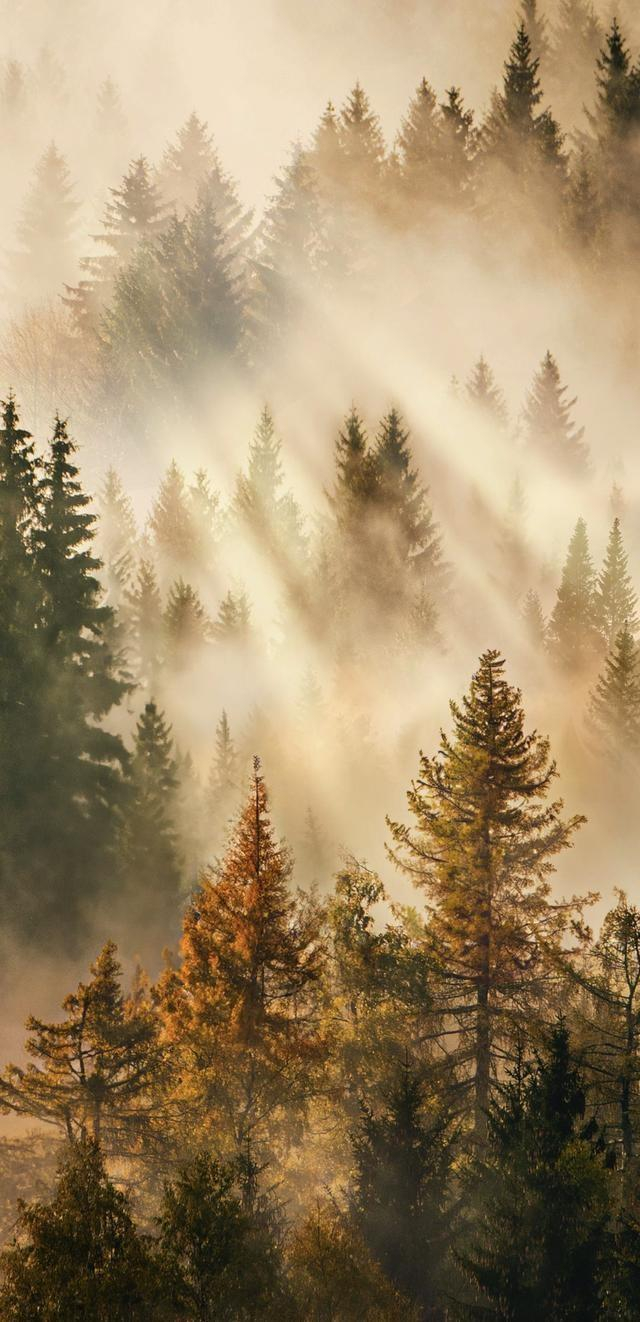 "vivo originos 5"内置高清壁纸