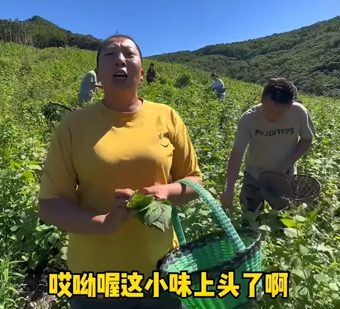 东北雨姐开始退款了！被质疑想要减少涉案金额，当地已成立调查组