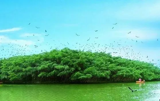 （图源于网络）