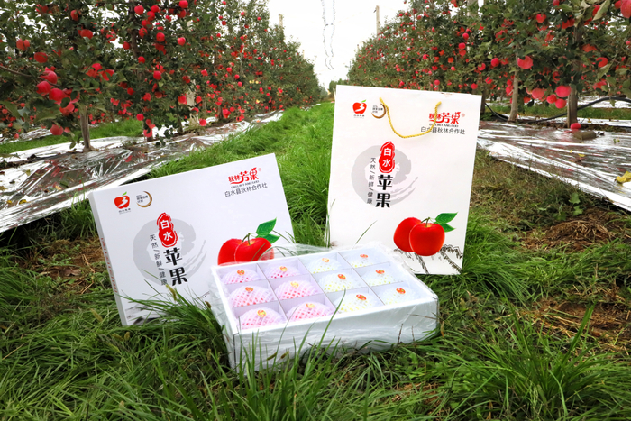 名优土特产展播 | 白水苹果