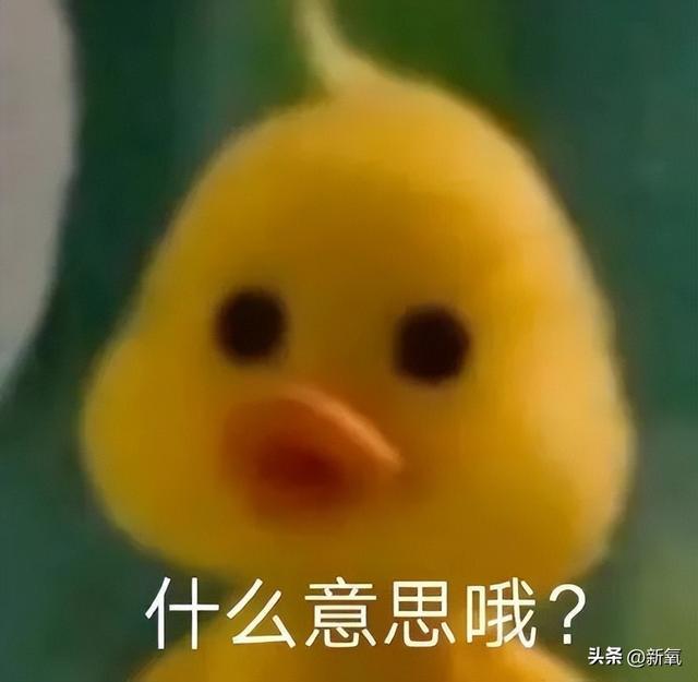 清冷厌世脸配肉感身材？姐硬塞出来的假屁股不会直接断送星途了吧 第13张