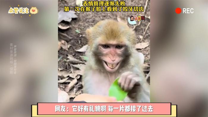 猴子表情管理逐渐失败