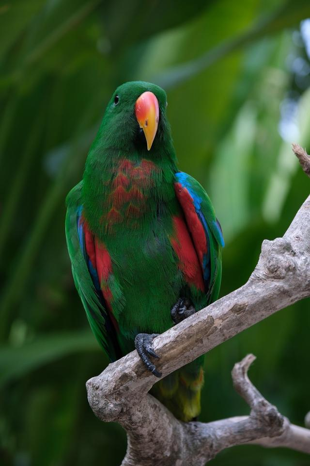 XF16-55mm镜头焦外散景柔和富士X-H2s XF16-55mmF2.8 II 55mm ISO 200 F2.8 1/200s