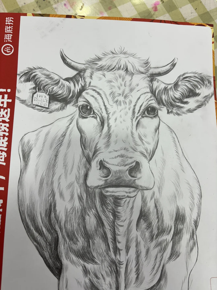 画牛送牛?海底捞的营销是有点牛的