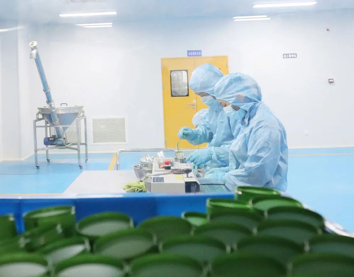 在贵州省铜仁市江口县贵州贵茶（集团）有限公司生产车间，工人在抹茶生产线忙碌