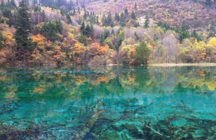 秋季的九寨沟。记者 李艺 摄