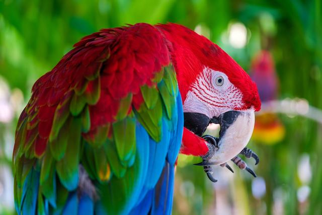 富士X-H2sXF16-55mmF2.8 II 55mm ISO 200 F2.8 1/80s