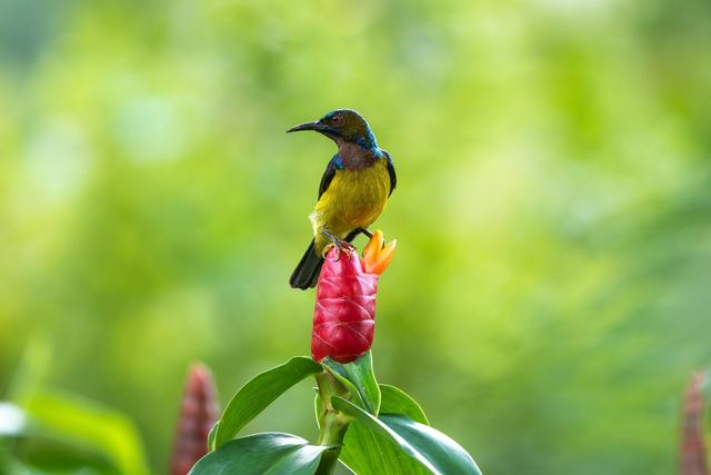 富士X-H2sXF500mmF5.6 ISO 400 F5.6 1/3200s