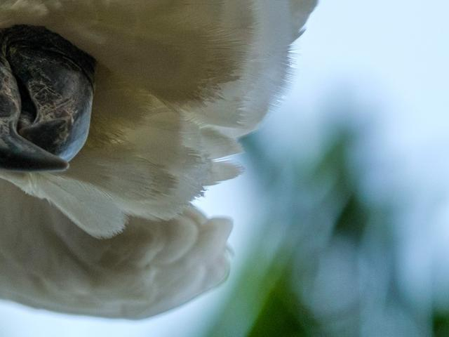 可以看到边缘成像非常干净，明暗交错部分没有任何的高光边缘色散