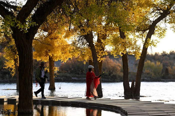 游客在内蒙古阿拉善盟额济纳旗大漠胡杨林景区游玩。图源额济纳融媒