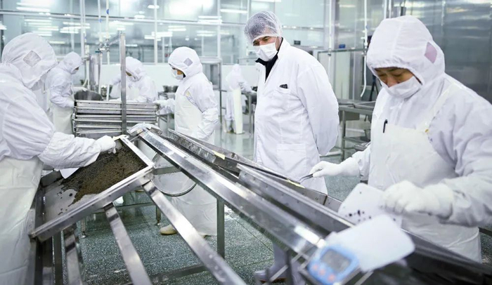 浙江衢州，卡露伽鱼子酱产品的鲟鱼养殖加工中心