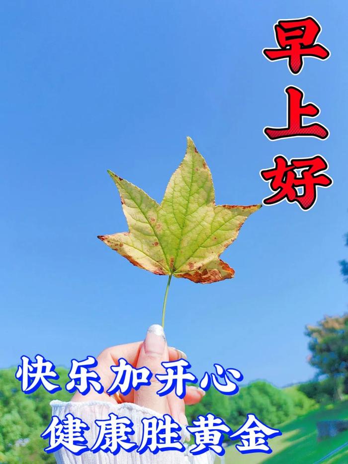 最新带字图片最新图片(最新带字图片最新图片高清)