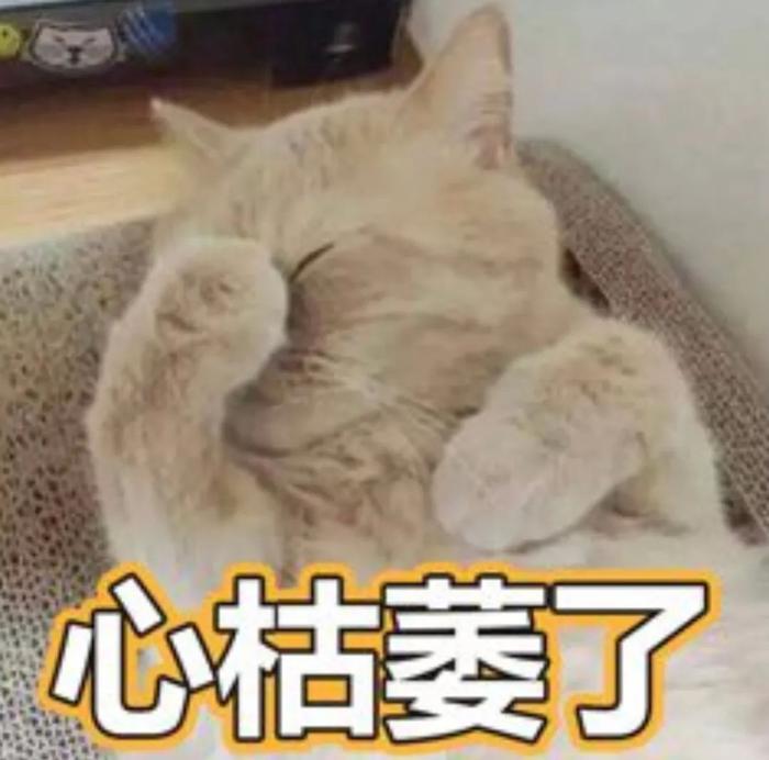 没领证生下一名男孩，出生证明只有母亲名字，五个月后父亲要求抚养权归他……