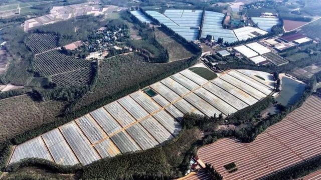 俯瞰广西合浦县乌家镇一角。新华社记者 张爱林 摄