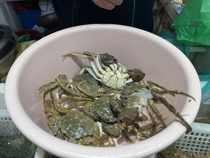 东山市集水产区