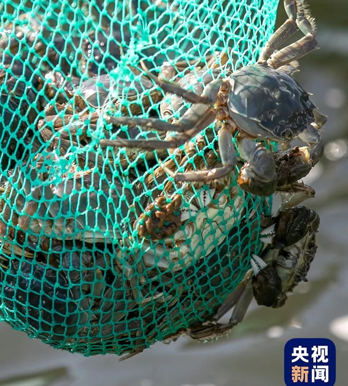 资料图 图源央视新闻