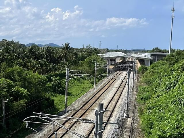 和乐站在一片绿野之中，高铁带来的交通便利作用十分显著。摄影/林春挺