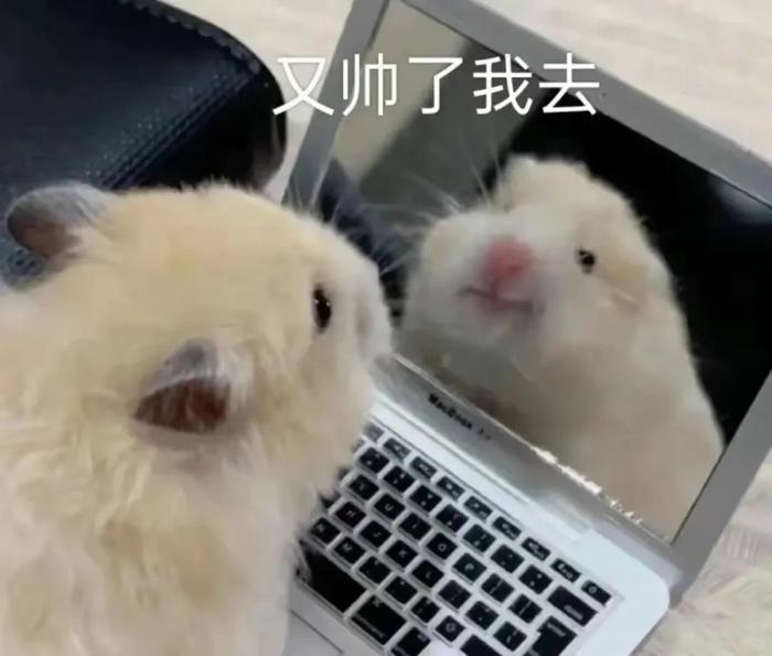 以前有一句话听了挺扎心的，叫男性消费不如狗
