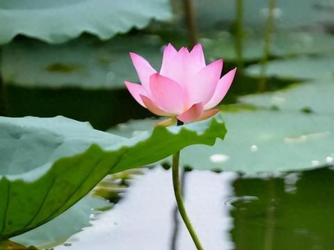 父母最大的远见，不是给子女钱、房子，而是给以下“三种搭配”
