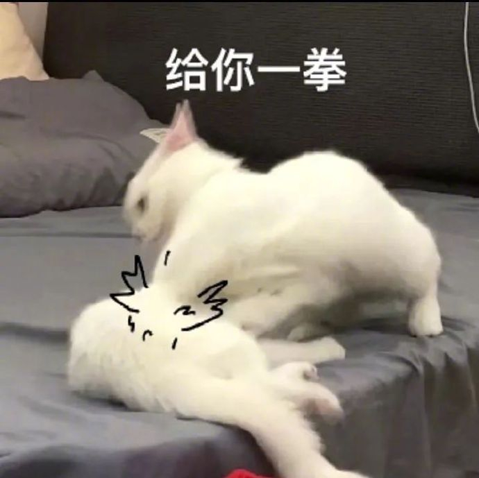 这么多表情包,我存哪张啊?