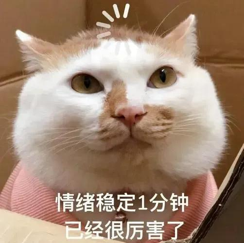 强冷空气发威！2024全国秋裤预警已拉响！海南最新天气预报→-海南未来天气预报15天准确