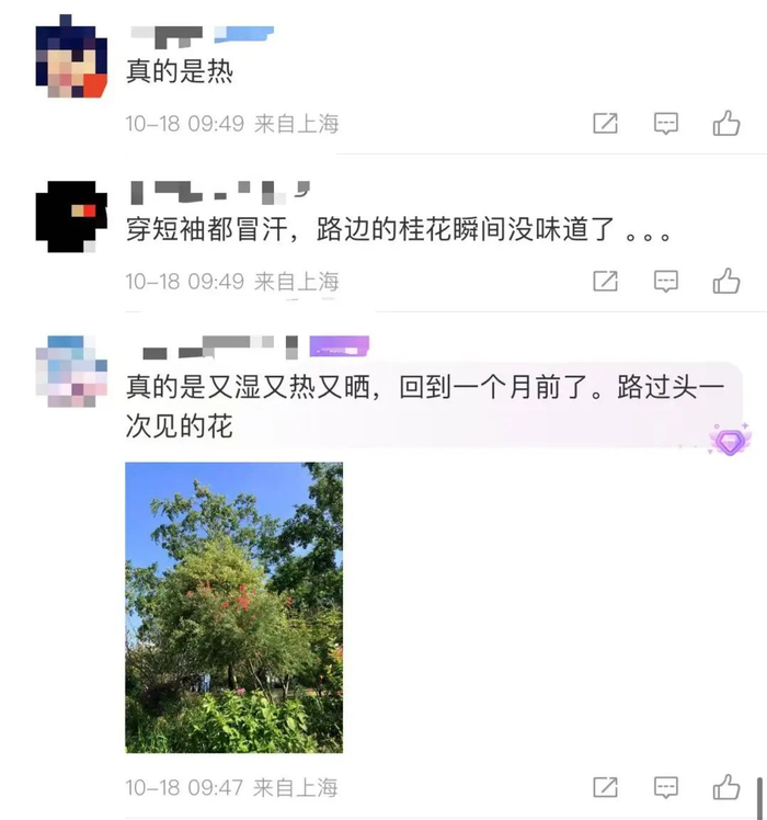 上海今天热闹了：30℃、阳光、雷雨、冷空气！一位老朋友现身，网友：真的没想到-今天上海天气好热